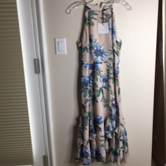 NWT Cooper St Floral midi dress - Picture 6 of 8